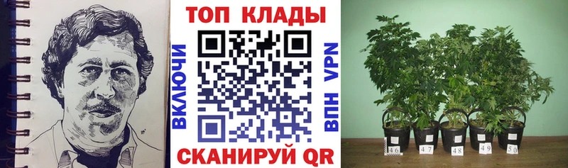 Цена Пошехонье Каннабис  Меф  Галлюциногенные грибы  Гашиш  Бутират  СК 