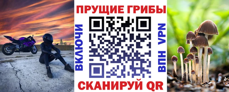 Галлюциногенные грибы GOLDEN TEACHER  ОМГ ОМГ   Пошехонье 