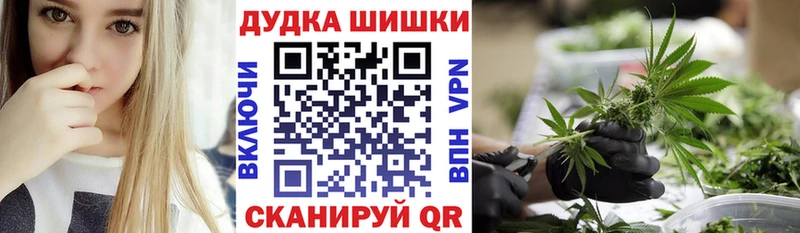 Бошки марихуана планчик  Пошехонье 